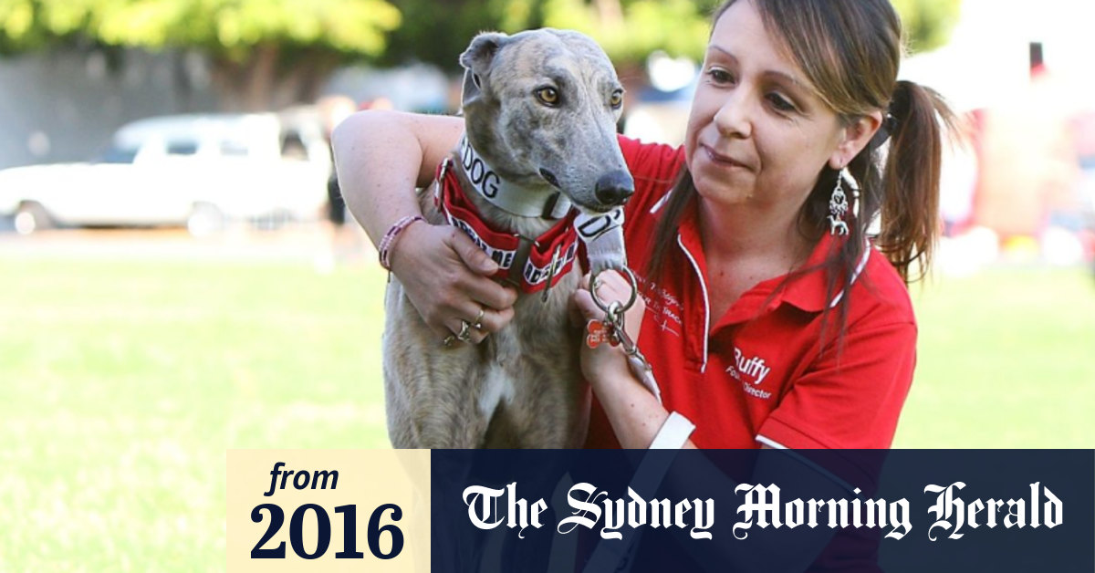 Thousands join quest to find new homes for unwanted pets